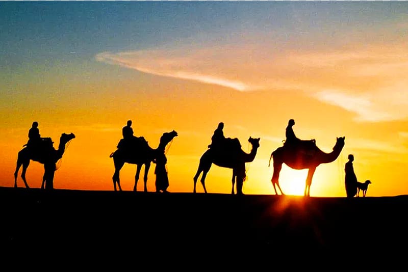 Camel safari caravan at sunset on the Sam dunes